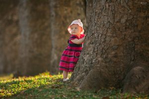 Bộ ảnh em bé chụp dưới gốc cây cổ thụ đẹp như cổ tích