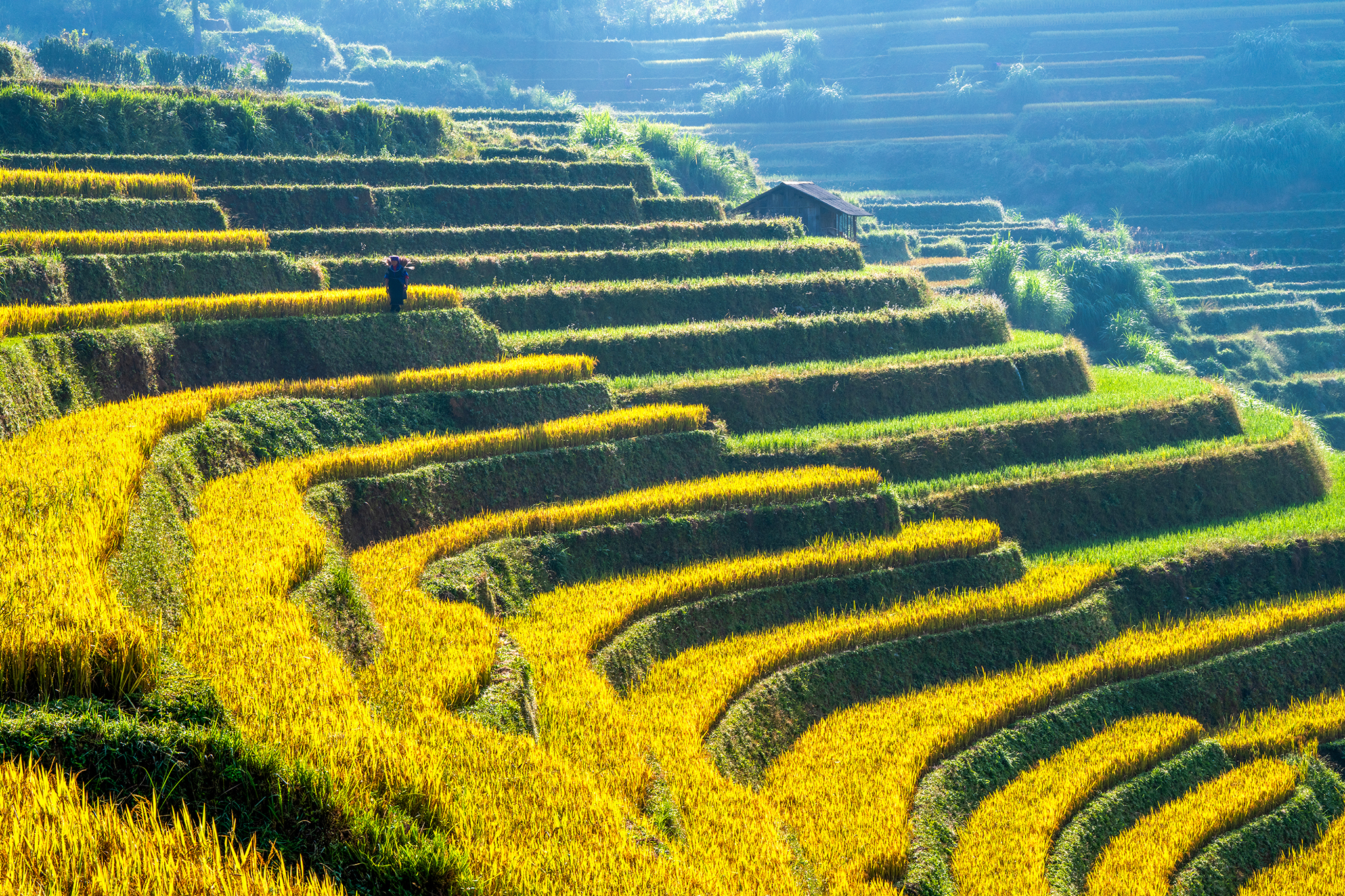 chụp ảnh phong cảnh